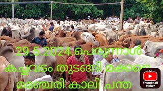 മഞ്ചേരി പയ്യനാട് കാലി ചന്ത 29.5.2024.