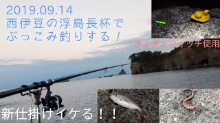 西伊豆の地磯『浮島長杯』でぶっこみ釣りする！(2019.09.14)ぎょぎょウォッチ調査