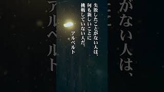 偉人の名言 #アルベルト・アインシュタイン #言葉 #名言 #心に響く名言集 #心に刺さる言葉 #忘れられない #自己啓発  #反省  #モチベーション #人生 #感動 #やる気