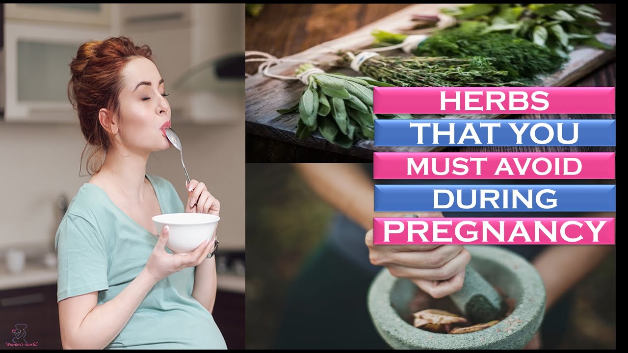 List Of Herbs To Avoid During Pregnancy - YouTube