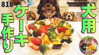 犬用簡単クリスマスケーキ作ってみた♡｜キャバリア犬のご飯動画 818ペットチャンネル