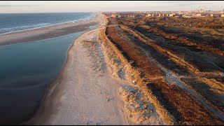 Kijkduin south - dunes and reeds in the golden hour (2023 NL 04 02)