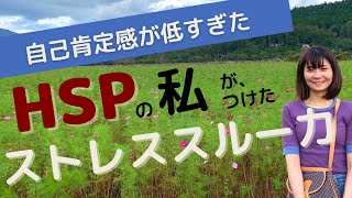 【HSPと私】●●をして、ストレスを軽くしました|5点| 繊細で自己肯定感が低かった|転職6回経験|