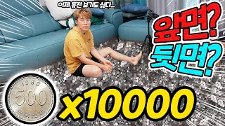 동전 던지면 앞면 뒷면 50% 확률인지 궁금해서 10000번 던져보았습니다! 과연 결과는?!