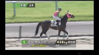 【炎のウィナー】京都3R メイクデビュー京都 本馬場入場