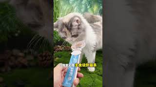 可以给家里猫咪咪当饭吃的主食猫条猫条 猫咪 喵知味 快赶紧拿给猫猫吃吧