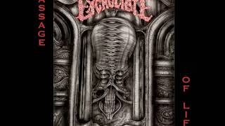 Excruciate : Endless Suffocation