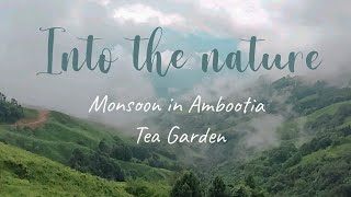 Into the nature - Monsoon in Ambootia Tea Garden || Cinematic video || Canon 1500 D