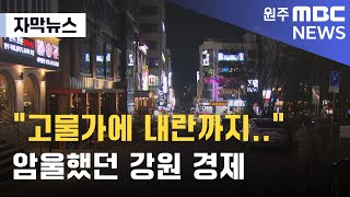 [자막뉴스] \