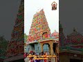 வடபழனி முருகன் கோவில் vadapalani murugan temple வடபழனி ஆண்டவர் முருகன் முருகன்துணை வடபழனி