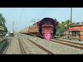 dangerous chimpanzee headed intercity express furious moving throughout at railgate