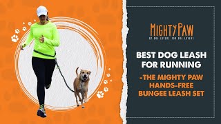 Best Dog Leash For Running: The Mighty Paw Hands-Free Bungee Leash Set (Q&A with the CEO & Founder)