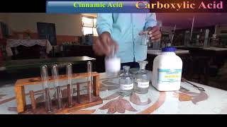 Cinnamic Acid 12th chemistry practical