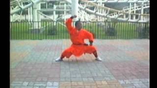 Shaolin Chang Hu Xin Yi Men Quan - 少林长护心意门拳-- Shi Xing Wu