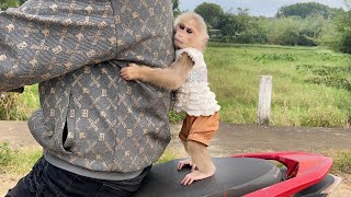 Monkey Luk cried went to find Thang wanted to ride motorbike