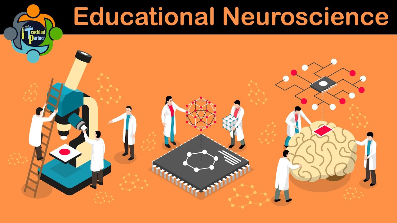 Educational Neuroscience - Benefits And Application - YouTube