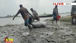 কুড়িগ্রামের ধরলা নদীর পাড় থেকে নদী ভাঙনের খবর | Live