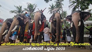 കേശവൻ, ചന്ദ്രു, മീനാടൻ, കണ്ണൻ, അയ്യപ്പൻ😍🔥 അഞ്ചുപേരും നന്നായിട്ടുണ്ട് | Parkkadi Pooram 2025