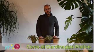 Corso di Giardinaggio Pratico: cosa impareremo?