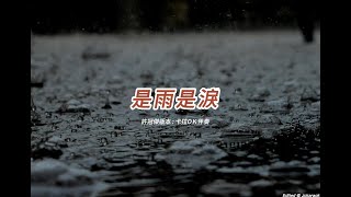 是雨是淚   (許冠傑版本)(粵語)(卡拉OK伴奏)(懷舊金曲)