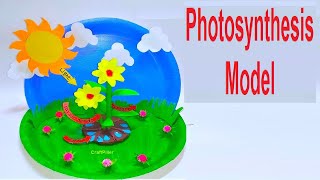 photosynthesis model science project | craftpiller | diy at home  | still model