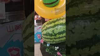 100kg water melon