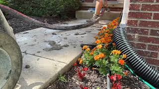 Concrete Leveling Concrete Mudjacking Sidewalk