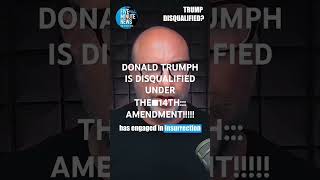 DONALD TRUMPH IS DISQUALIFIED UNDER THE■14TH!!! AMENDMENT■ FROM GEORGIABOYJOEJEEZYTHEREAL