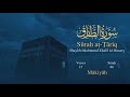 Quran: 86. Surah At-Târiq  / Read version / (The Nightcommer): Arabic and English translation