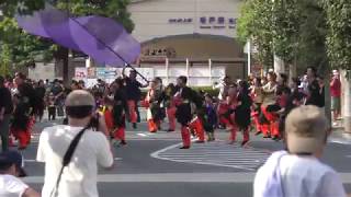 わかば連　2019 坂戸夏よさこい