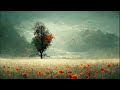 Hans Zimmer - Small measure of Peace | slow relaxing ambient