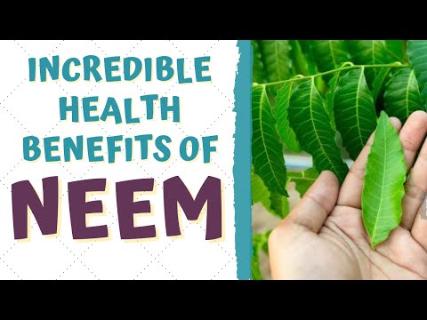 How is neem tree useful to us?