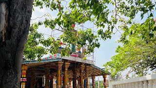 பெரியகல்லாறு கடல்நாச்சி அம்மன் ஆலய வரலாறு| #batticaloa #srilanka #batticaloanews #kallar #kovil