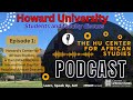 Podcast Episode #1 UN International Day for People of African Descent with Dr. Krista Johnson