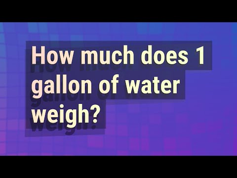 What does 1 gallon of water weigh in pounds?