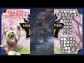 【モンハンnow】火事場力なら汎用最強弓！？ディア弓で難関モンスター討伐🔥最強武器ブロスホーンボウの底力 u0026火事場力用最強装備紹介‼️【初心者必見】【monsterhunternow】