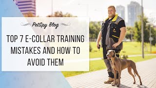 Top 7 E-collar training mistakes and How to avoid them. PetSpy dog training guide