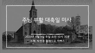 2023년 4월 9일 미사 (주님 부활 대축일)[영상X]