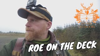 November Roe Deer Stalking