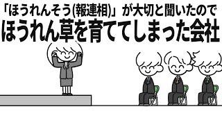 ｢ほうれんそう｣の意味を履き違えている会社