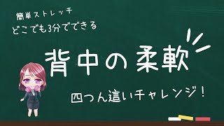 【時間が無い人必見！】背中の固さが改善！？四つん這いでできるストレッチ