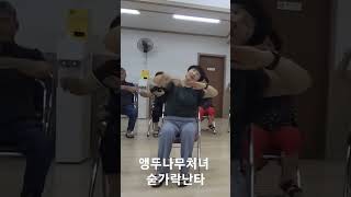 앵두나무처녀                 #실버체조 #숟가락난타