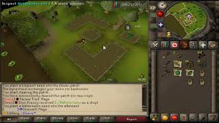 [ALORA] Efficient Fruit tree/Tree/Herb run (Uncut)