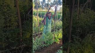 adhagara atha puram song#village#natural#shorts#