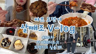 [바프다욧 브이로그#5] 다이어터에게 설연휴란..^^  번아웃 씨게 오고 타르트 폭식해버림🥧 부지런한 것만이 꼭 좋은 건 아니다💀