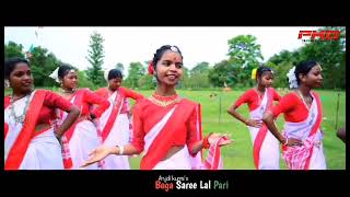 বগা ছাড়ী লাল পাড়ী  by  anjoli kurmi    officali video