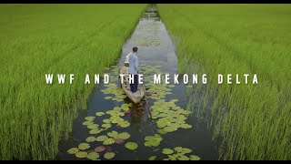 WWF & Mekong Delta