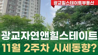 광교중앙역 초역세권 살기좋은 아파트 자연앤힐스테이트 현재 11/8 매물시세정리