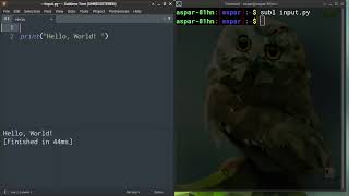 4: Using Sublime Text and Running Scripts - Python Programming Basics