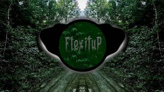 FlexituP - WILD (Prod. Soulker) (Lyric Visualizer)